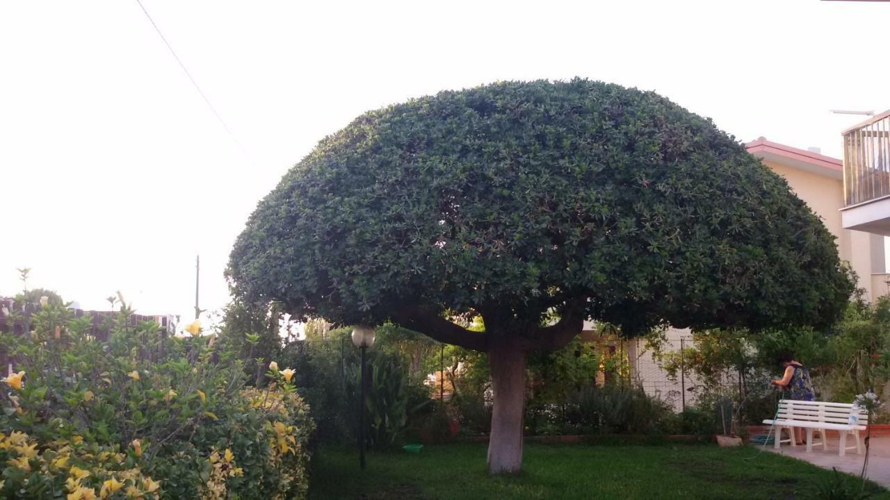 Casa Di Poseidone Villa Brucoli Dış mekan fotoğraf